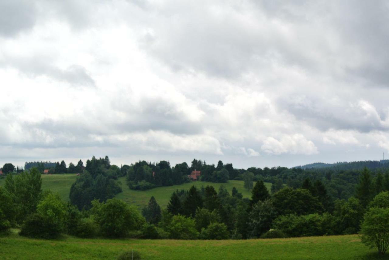 Ferienwohnung Harz-Flair 264 Hohegeiß Exteriör bild