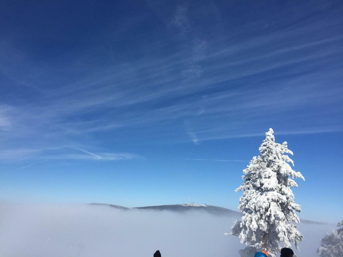 Ferienwohnung Harz-Flair 264 Hohegeiß Exteriör bild